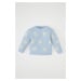 DEFACTO Baby Girl Blue Crew Neck Floral Knitwear Sweater