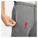 Pánské kalhoty Liverpool FC DB7876 088 - Nike