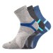 Pánské ponožky VoXX - Rexon A, šedá, modrá Barva: Mix barev