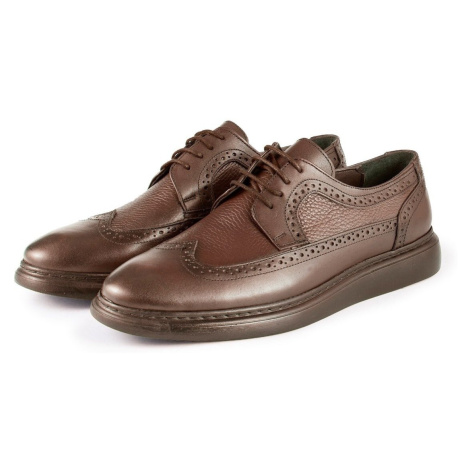 Ducavelli Lusso Genuine Leather Men's Casual Classic Shoes, Genuine Leather Classic Shoes, Derby