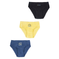 Yoclub Kids's Cotton Boys' Briefs Underwear 3-pack BMC-0027C-AA30-002