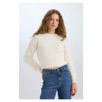 DEFACTO Regular Fit Crew Neck Knitwear Sweater