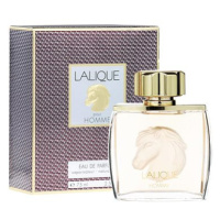 Lalique Pour Homme Equus EdP 75 ml M