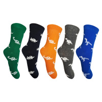 Chlapecké ponožky - Aura.Via GZF8703, mix barev Barva: Mix barev