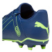Fotbalové boty Puma Future Play FG/AG M 107377 03