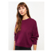 LC Waikiki Crew Neck Plain Long Sleeve Women's Knitwear Sweater