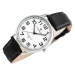 Pánské hodinky PERFECT Klasické (zp253a)