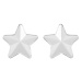 Preciosa Ocelové náušnice s matnou hvězdičkou Virgo 7343 10