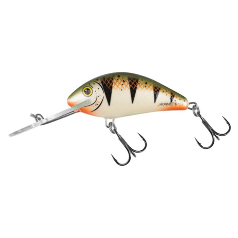 Salmo wobler hornet floating nordic perch - 6 cm
