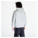 Champion Hooded Sweatshirt Grey