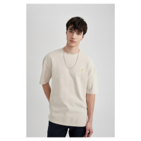 DEFACTO Oversize Fit Crew Neck Printed Short Sleeve T-shirt