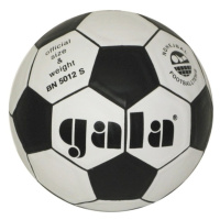 Nohejbalový míč GALA BN5012S