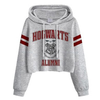 Harry Potter: College Style Hogwarts - dámská croptop mikina L