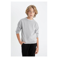 DEFACTO Boy's Crew Neck Knitwear Sweater