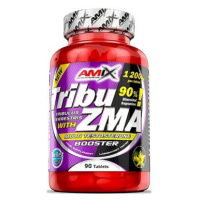 Amix Nutrition Tribu 90% ZMA, 90 tablet