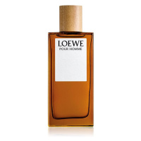 Loewe Loewe Pour Homme toaletní voda pro muže 100 ml