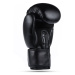 Boxerské rukavice DBX BUSHIDO ARB-Black