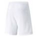 Pánské kraťasy teamRISE Short M 704942 03 - Puma