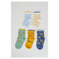 DEFACTO Baby Boy 5-Piece Cotton Long Socks