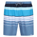 Pánské kraťasy Regatta Loras Swim Short m