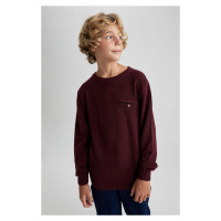 DEFACTO Boy's Crew Neck Knitwear Sweater