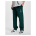 Rocawear / Jogginghose green