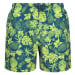 Pánské kraťasy Regatta Loras Swim Short m