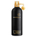 Montale Oudyssee - EDP 100 ml