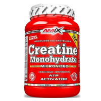 Amix Nutrition Creatine monohydrate, powder, 1000g
