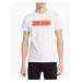 Calvin Klein pánské tričko iconic 100 bílé
