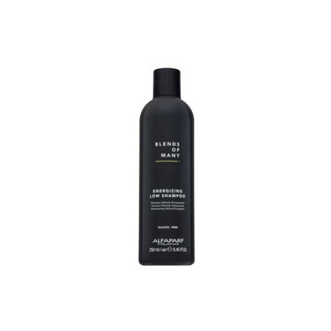 Alfaparf Milano Blends of Many Energizing Low Shampoo posilující šampon pro řídnoucí vlasy 250 m