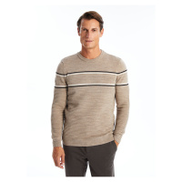 LC Waikiki LCW Crew Neck Long Sleeve Striped Men's Knitwear Sweater