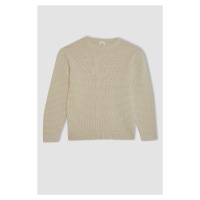 DEFACTO Boy's Crew Neck Sweater