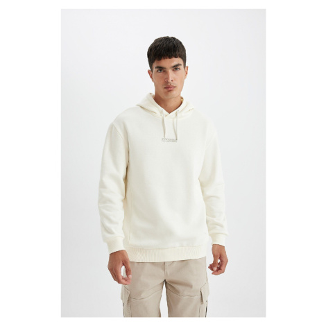 DEFACTO Relax Fit Hooded Printed Sweatshirt