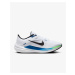 Nike Winflo 10 M