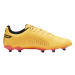 Puma King Match FG/AG M 107570 05