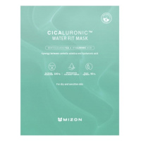 MIZON - CICALURONIC WATER FIT MASK - Zklidňující veganská maska na suchou a citlivou pleť 24 g