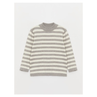 LC Waikiki Half Turtleneck Striped Baby Boy Knitwear Sweater