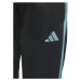 Kalhoty adidas Tiro 23 Club Training Jr IC1588