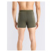 Icebreaker M Anatomica Boxers LODEN