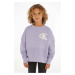 Dětská bavlněná mikina Calvin Klein Jeans fialová barva, s aplikací