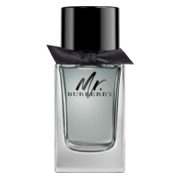 BURBERRY - Mr. Burberry Mr Burberry Toaletní voda 100 ml male