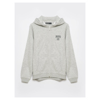 Big Star Man's Zip Hoodie 172393 901