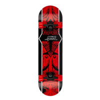 Skateboard NILS EXTREME CR3108SA Aztec