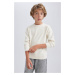 DEFACTO Boy's Crew Neck Cotton Sweater