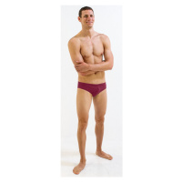 Pánské plavky finis brief solid cabernet m - uk34