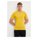 Sportovní triko Salewa Pure Eagle Frame Dry žlutá barva, s potiskem, 00-0000028448
