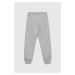 Dětské bavlněné tepláky Calvin Klein Jeans šedá barva, s potiskem