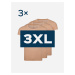 Triplepack pánské neviditelné tričko pod košili ARLON se zdvojeným podpažím - 3XL