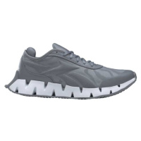 Reebok ZIG DYNAMICA 3 Pánská běžecká obuv, šedá, velikost 42.5